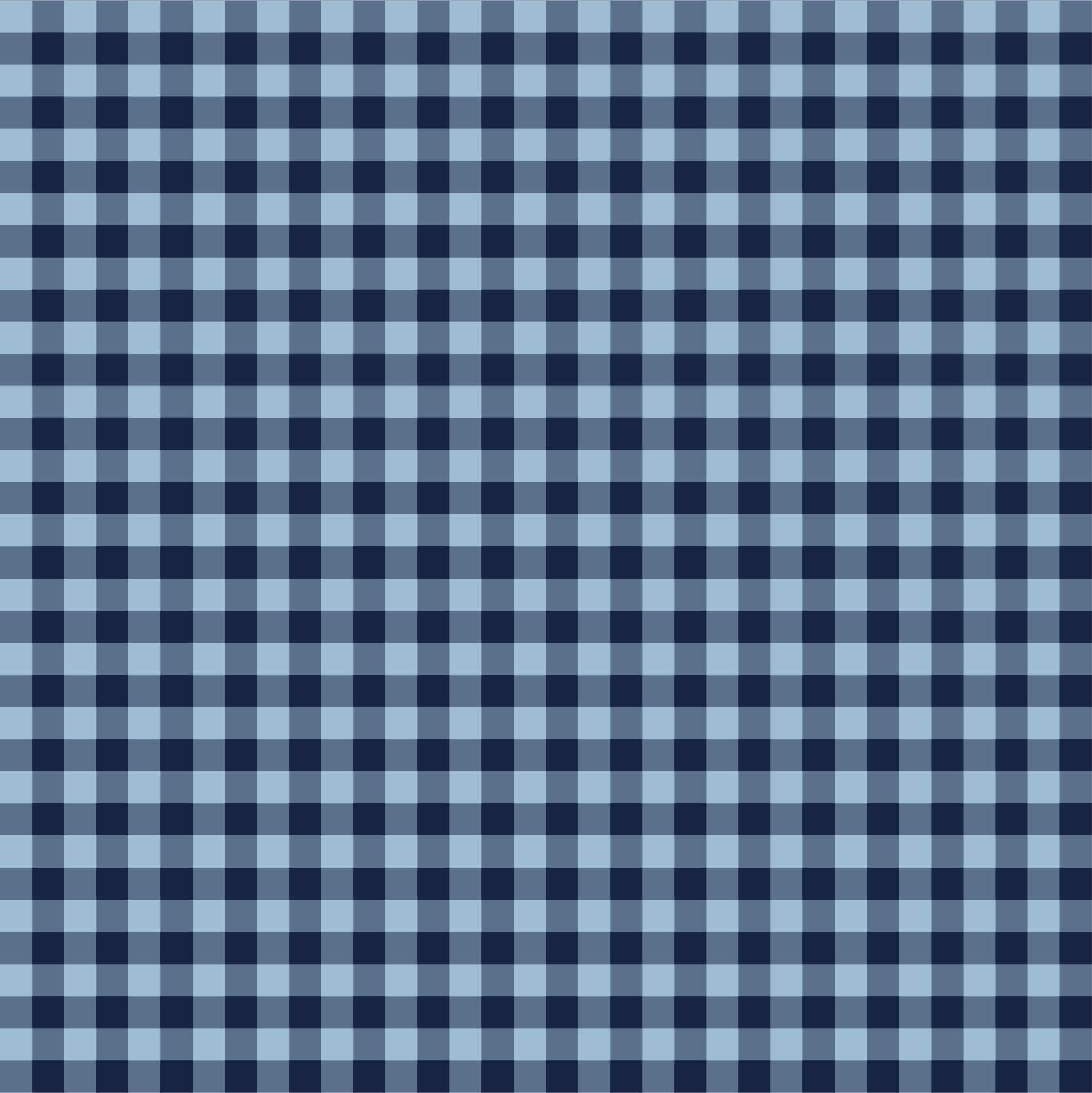 Gingham Check
