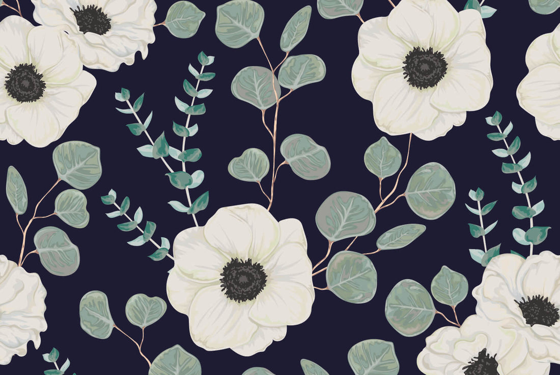 Anemone