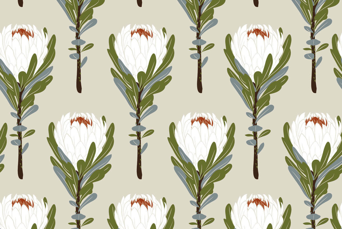 Banksia Blanc