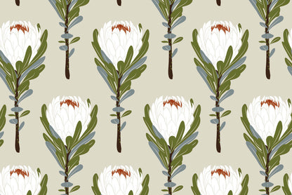 Banksia Blanc