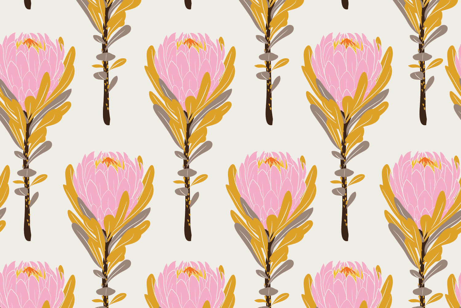 Banksia Rose