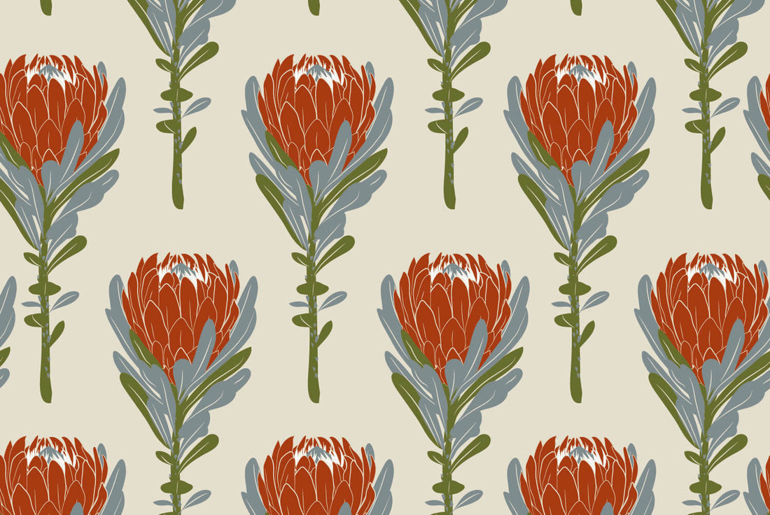 Banksia Rouge