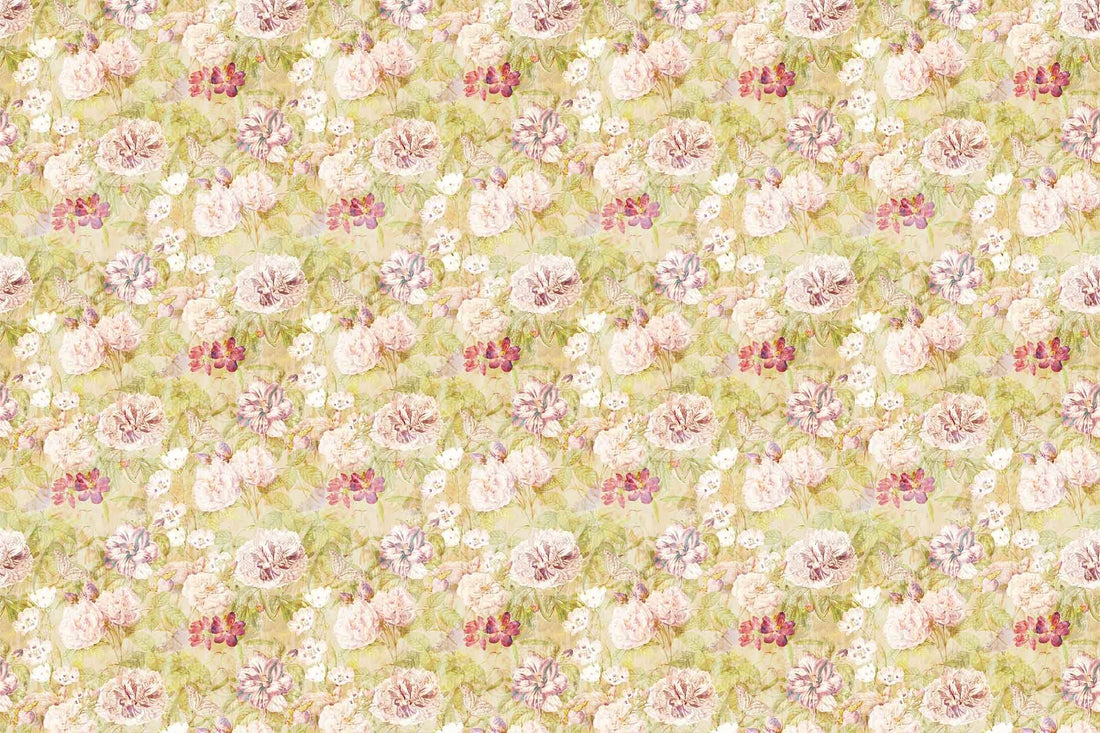 Citron Spring