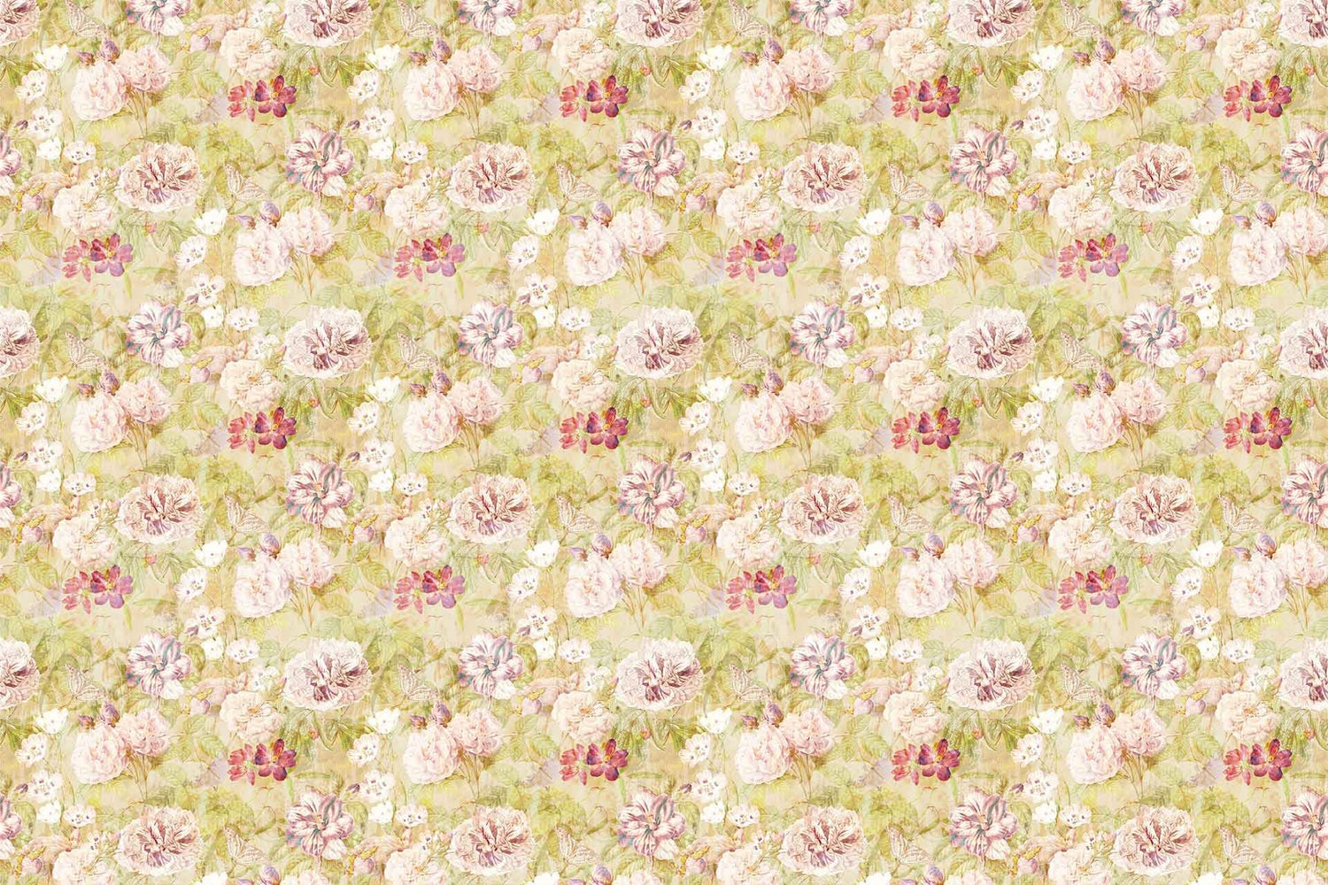 Citron Spring