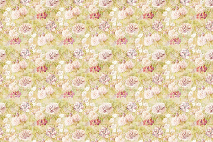 Citron Spring