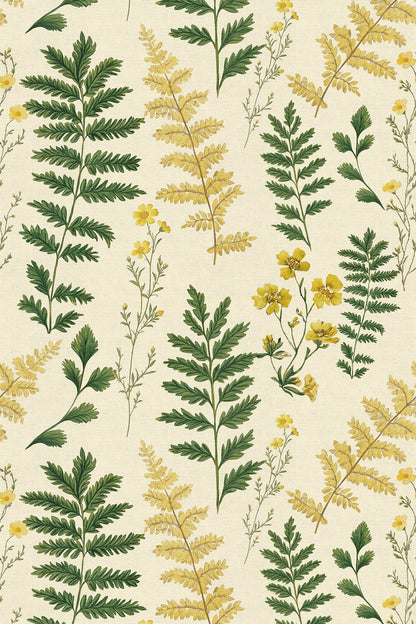 Daisy Fern