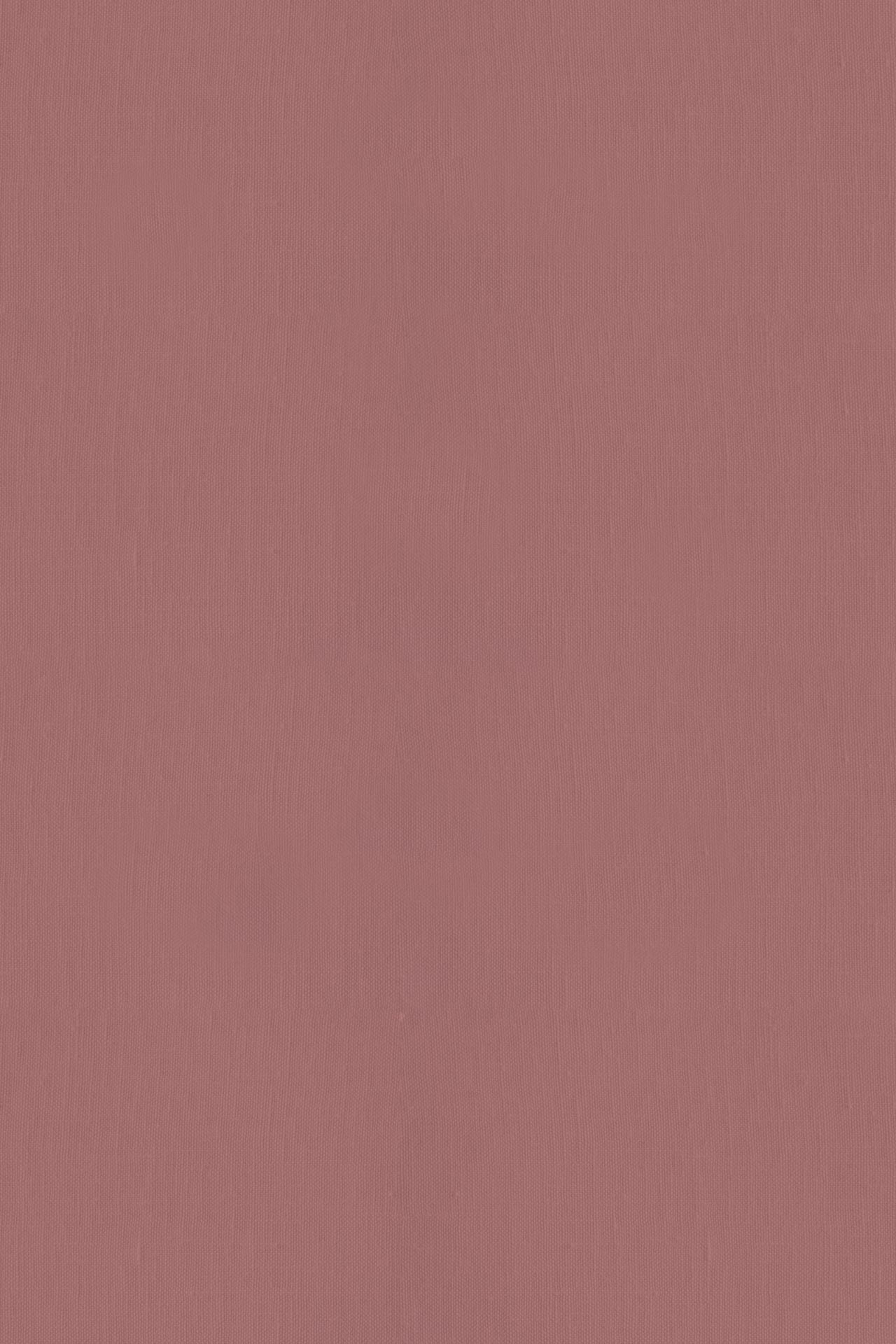 Rocksalt Rose