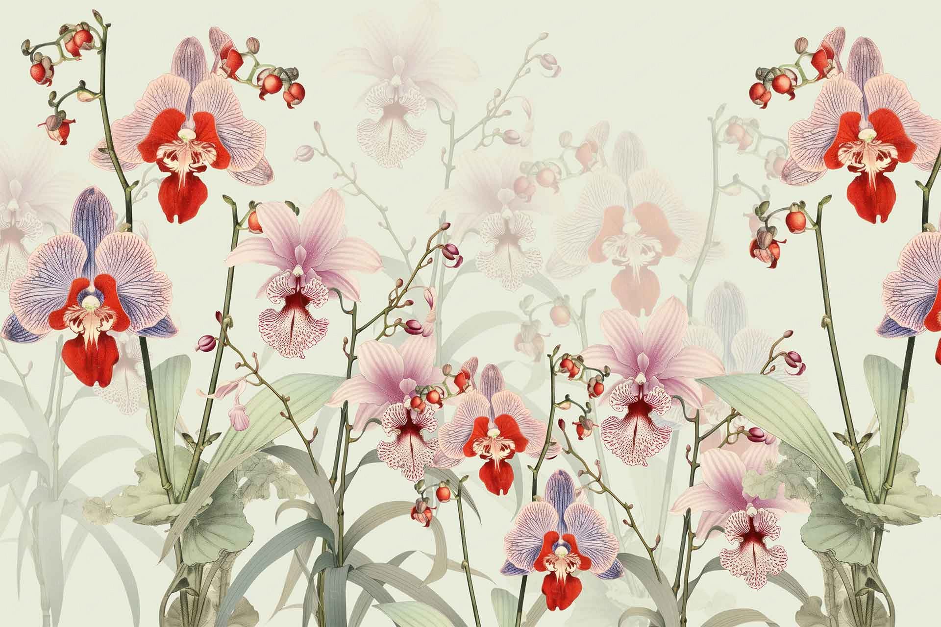 Orchid in red