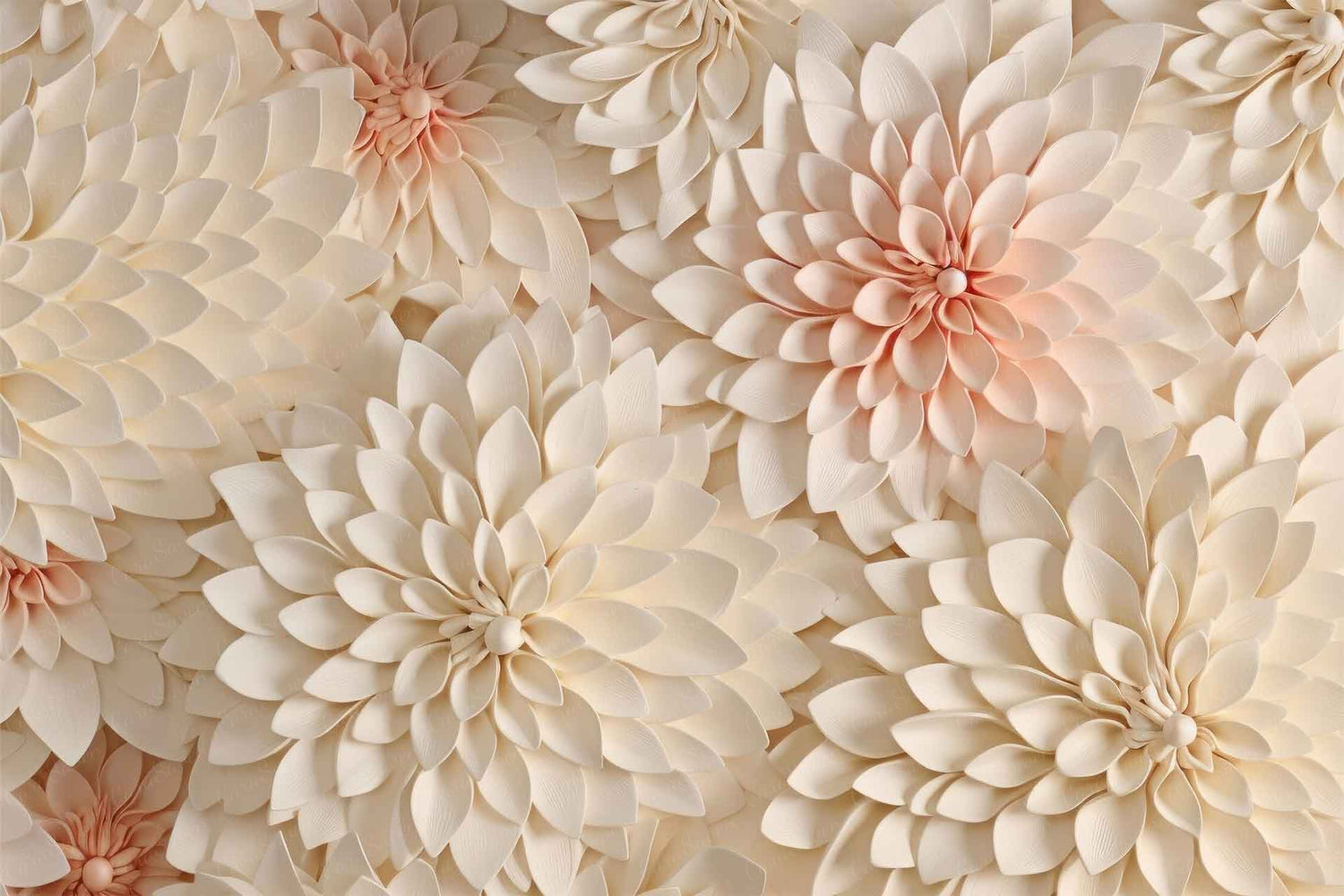 Petals on point