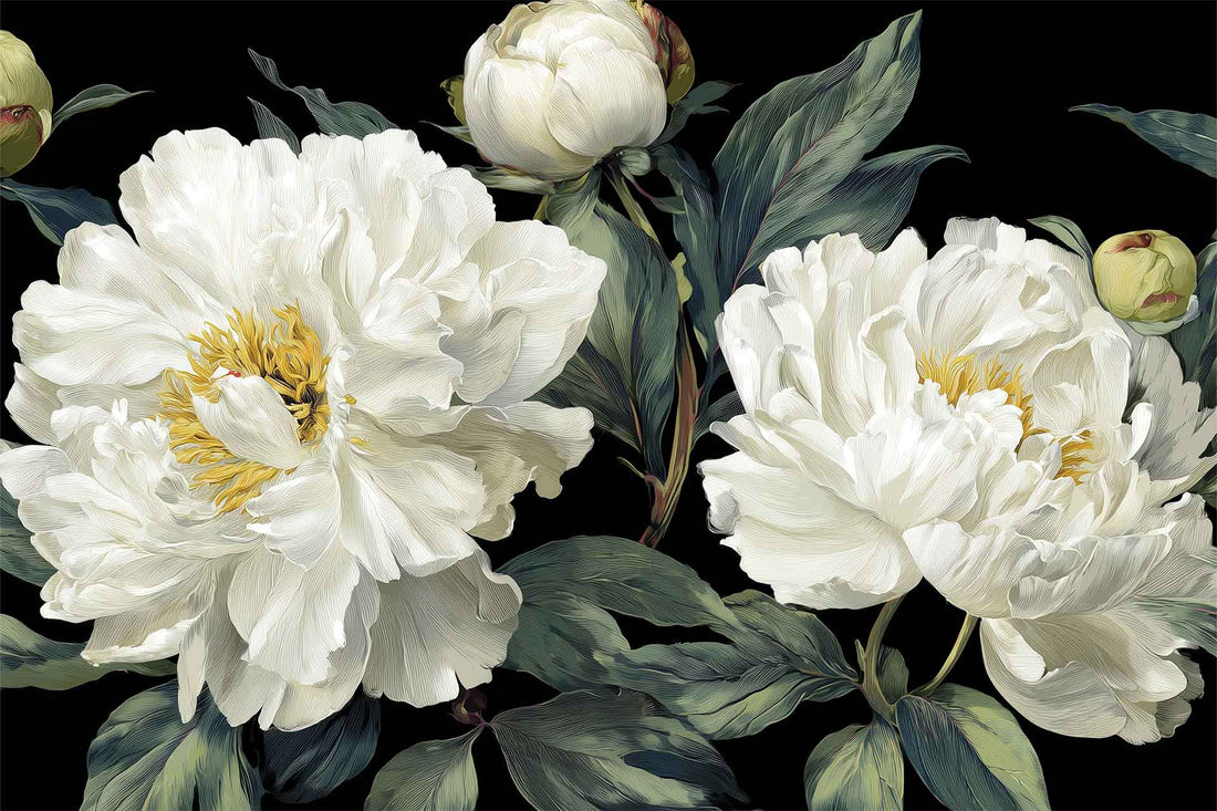 White Peony