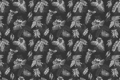Acacia