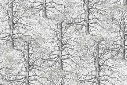 Ancient Trees