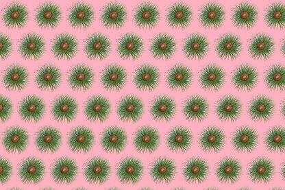 Anemone