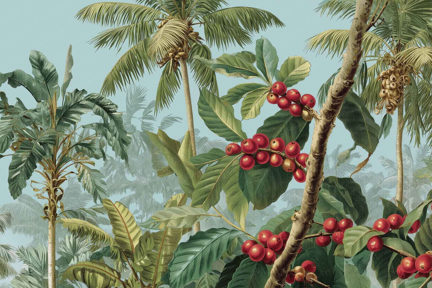 Arabica Garden