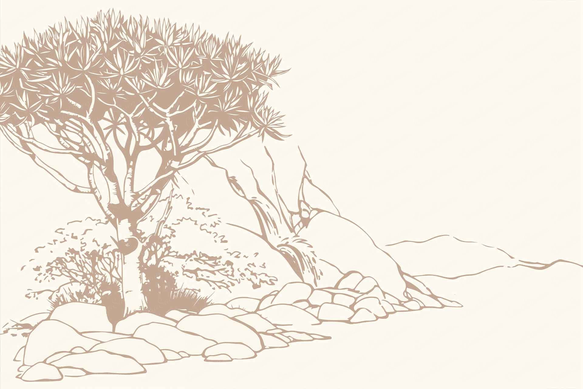 Arid
