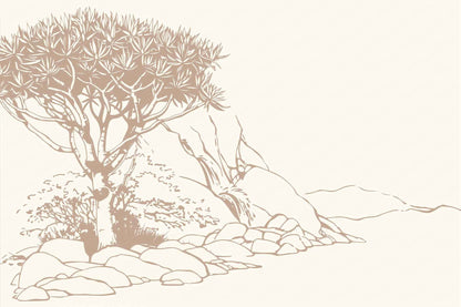 Arid