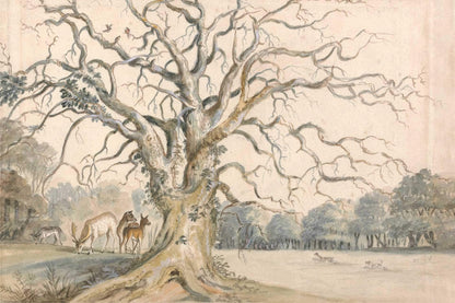 Bare Branches