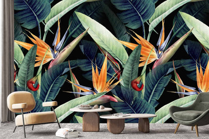 Birds Of Paradise