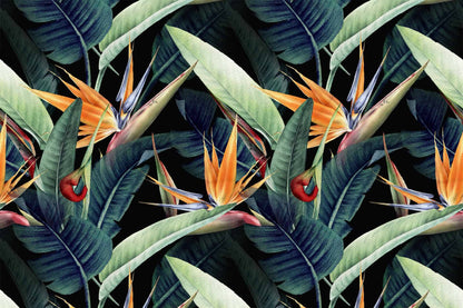 Birds Of Paradise