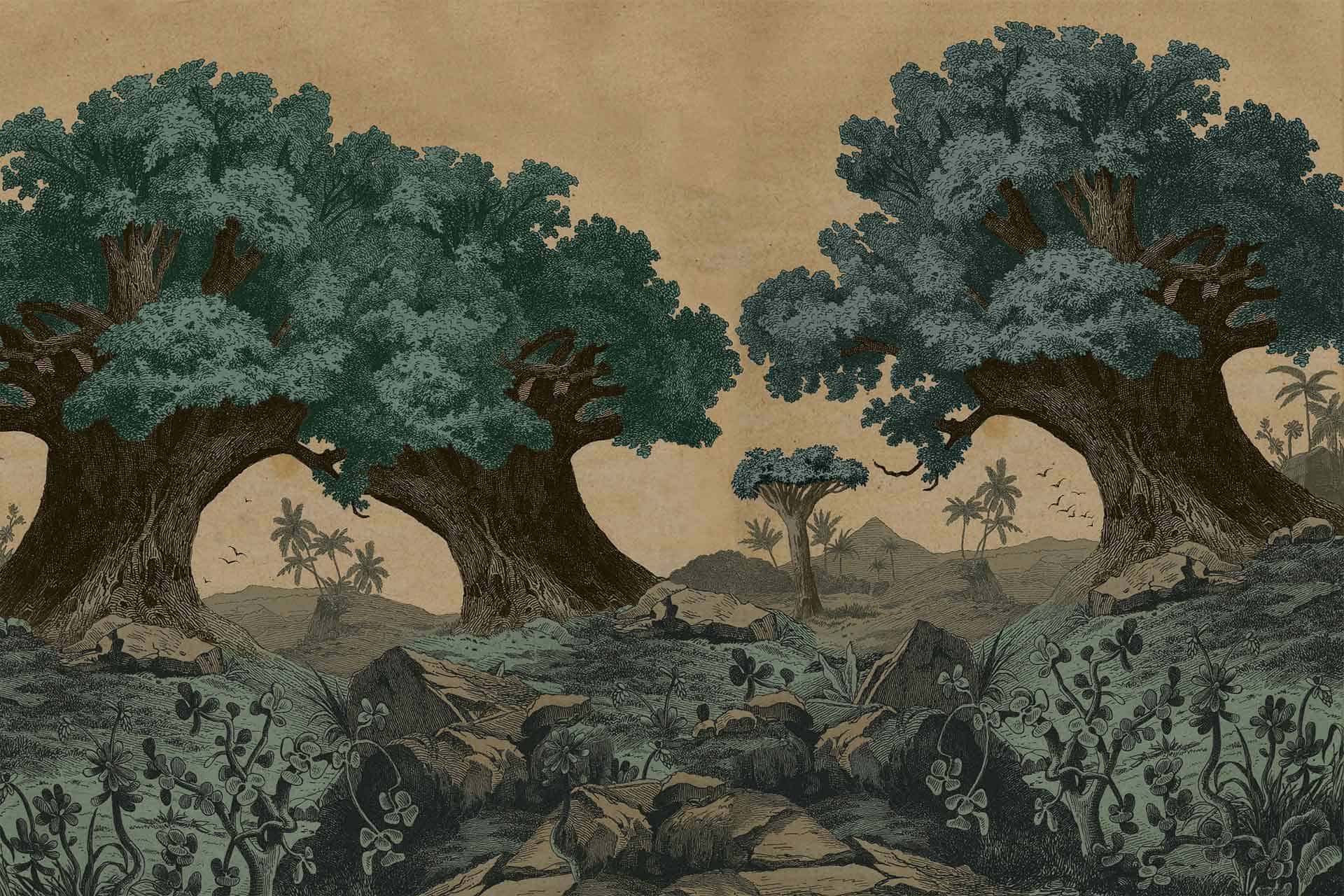 Branching Out