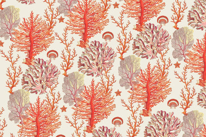 Coral C