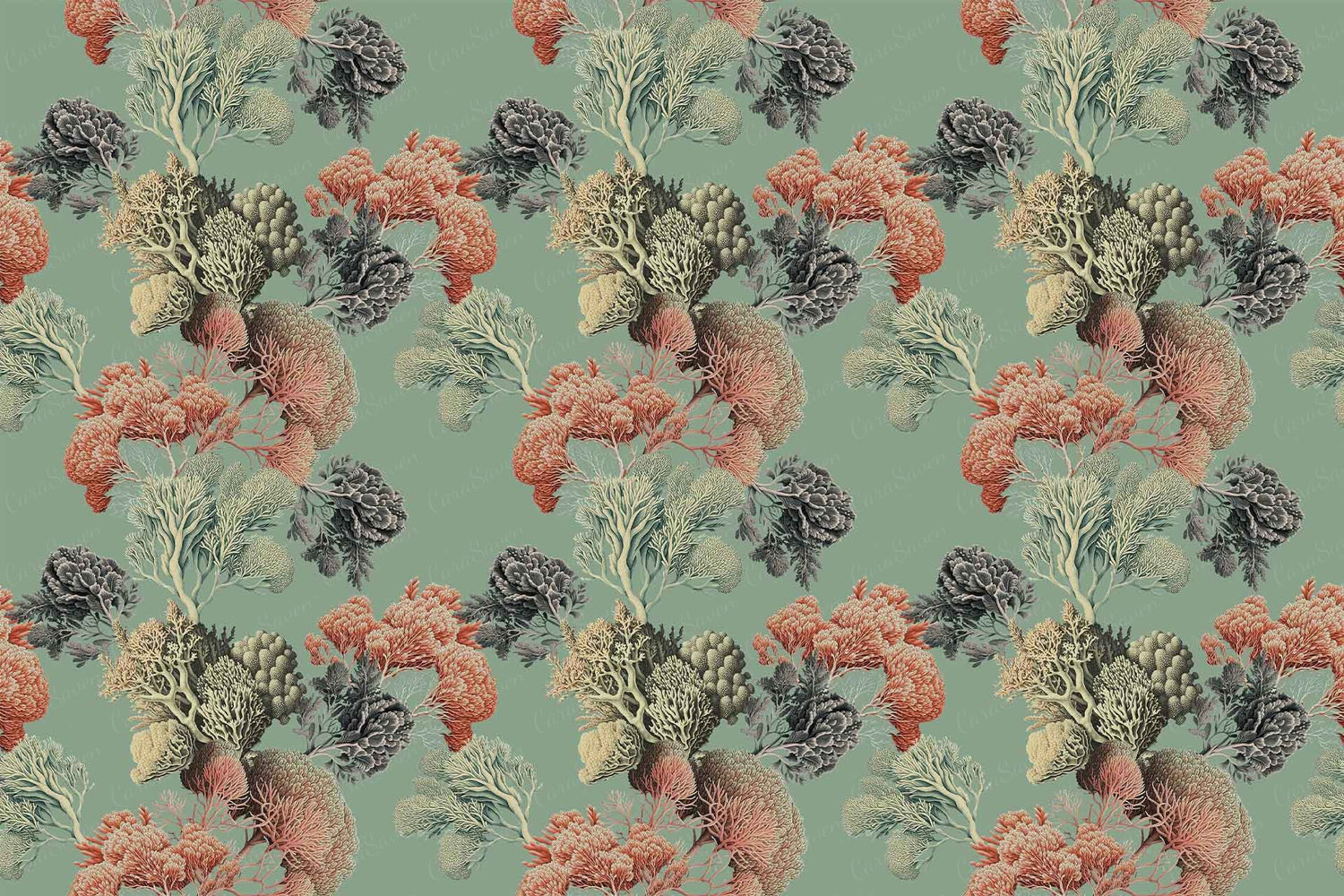 Coral Club