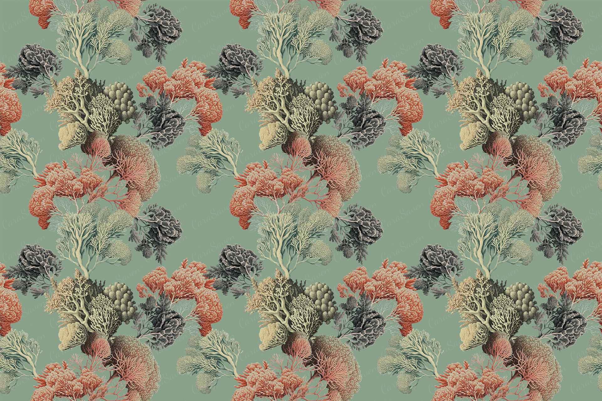 Coral Club