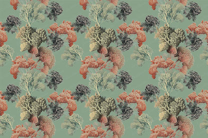 Coral Club