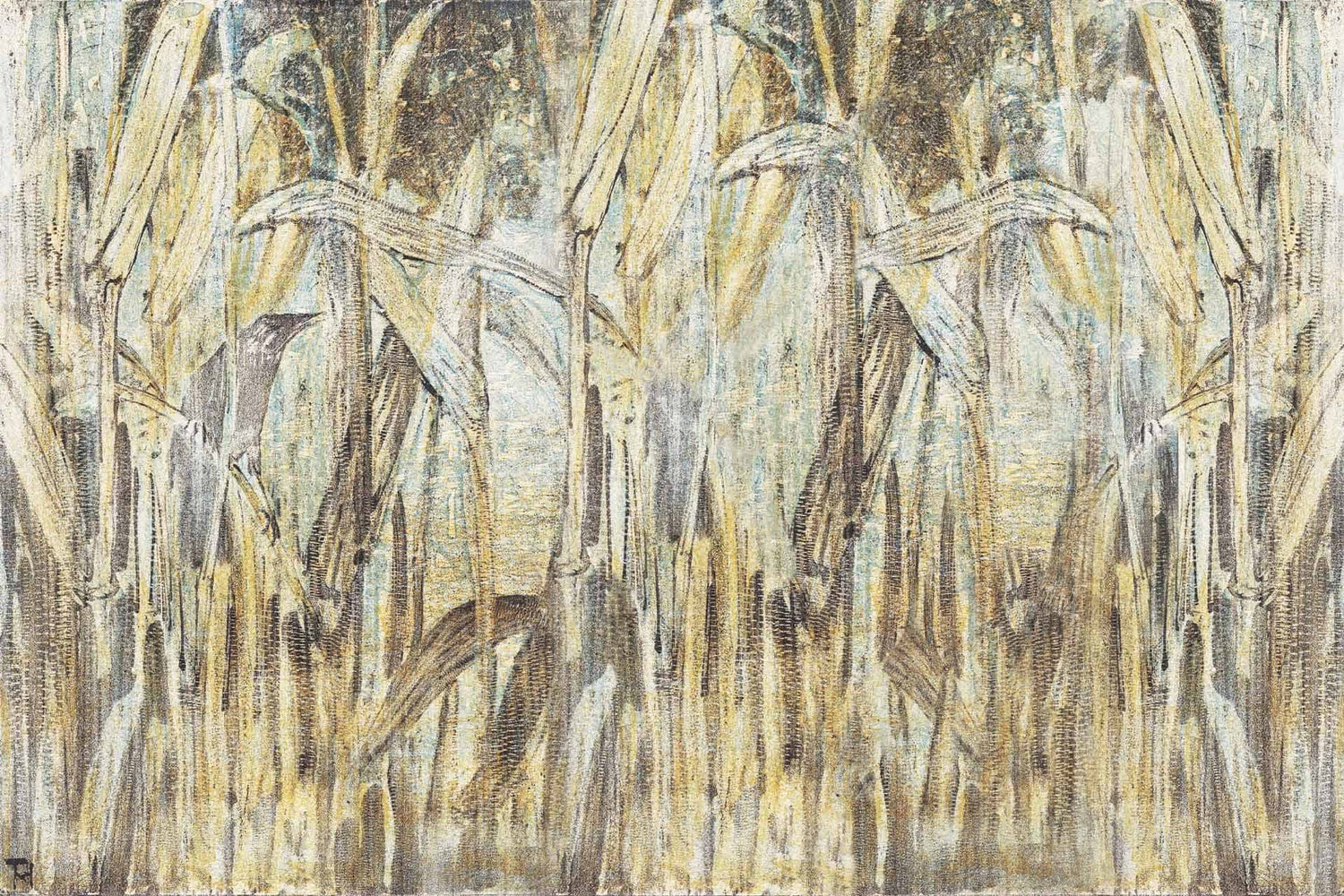 Corn Fields