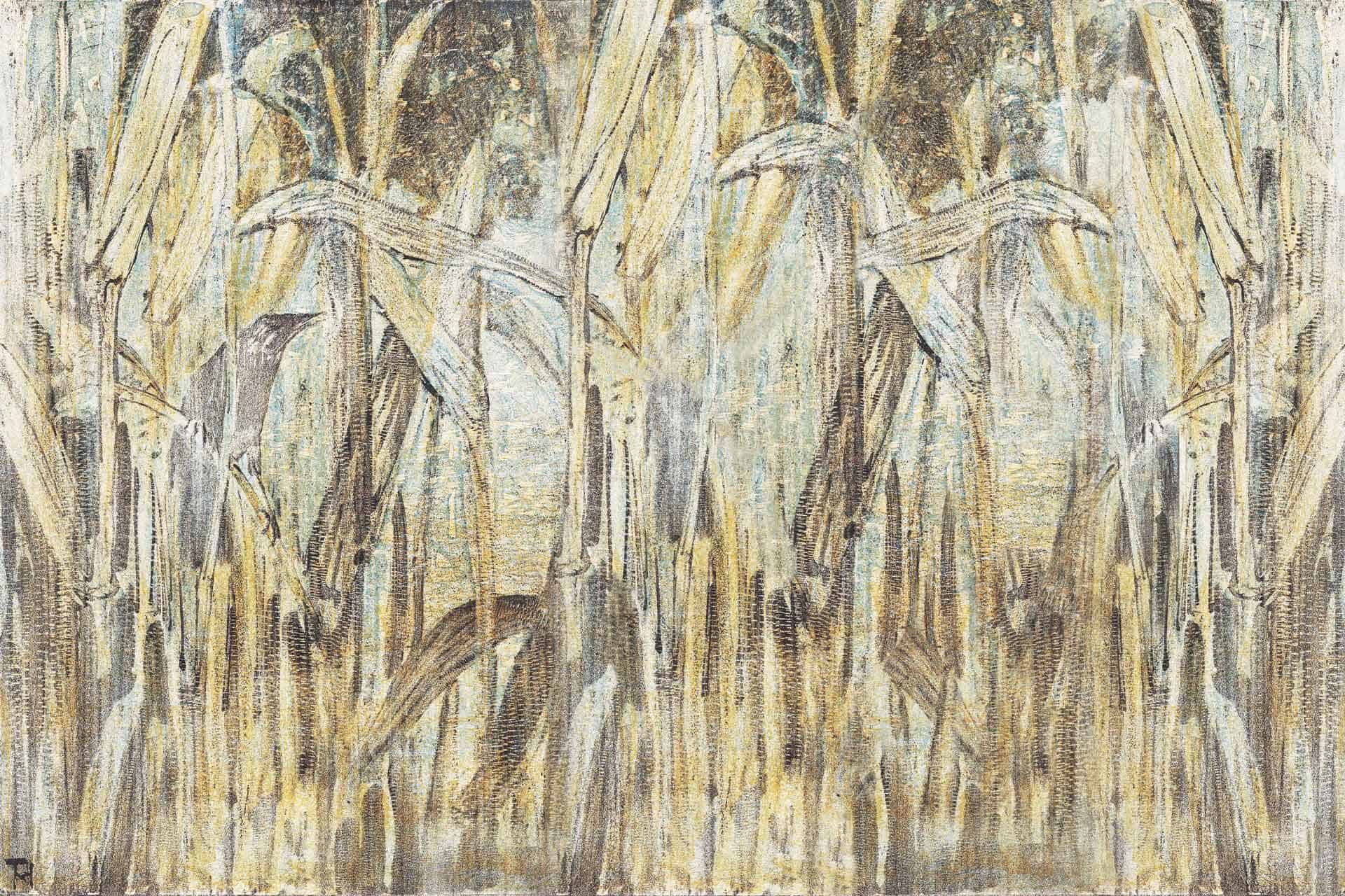 Corn Fields