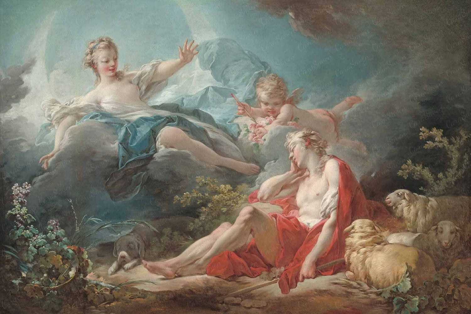 Diana