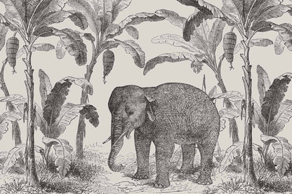 Elephant Island
