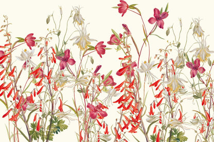 English Meadow