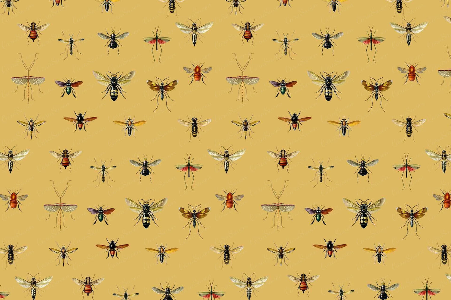 Entomology