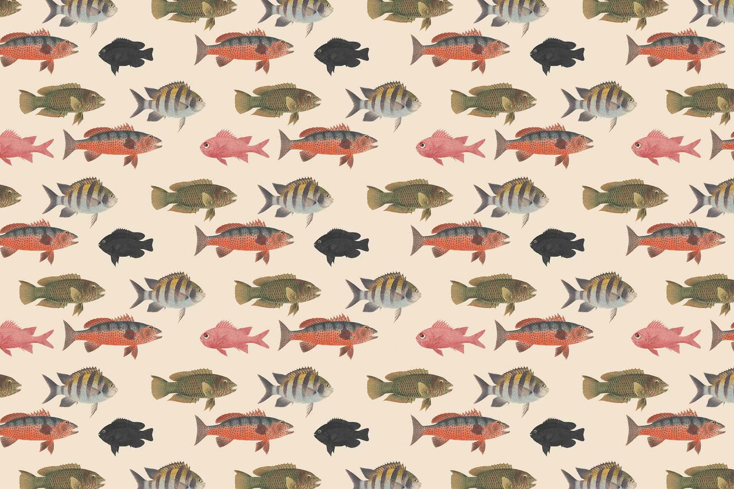 Fish Food