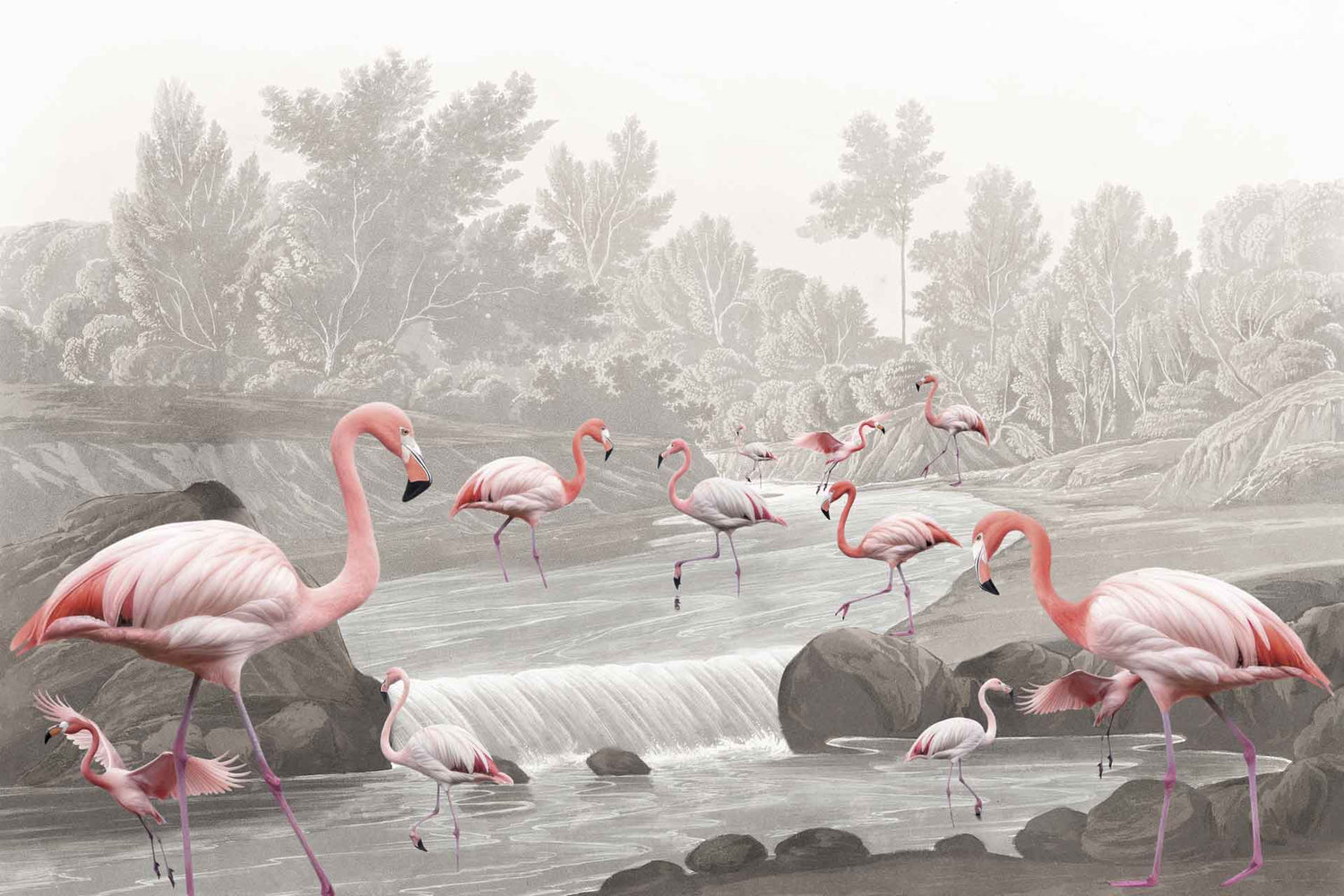Flamingo Vlei