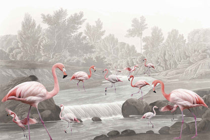 Flamingo Vlei