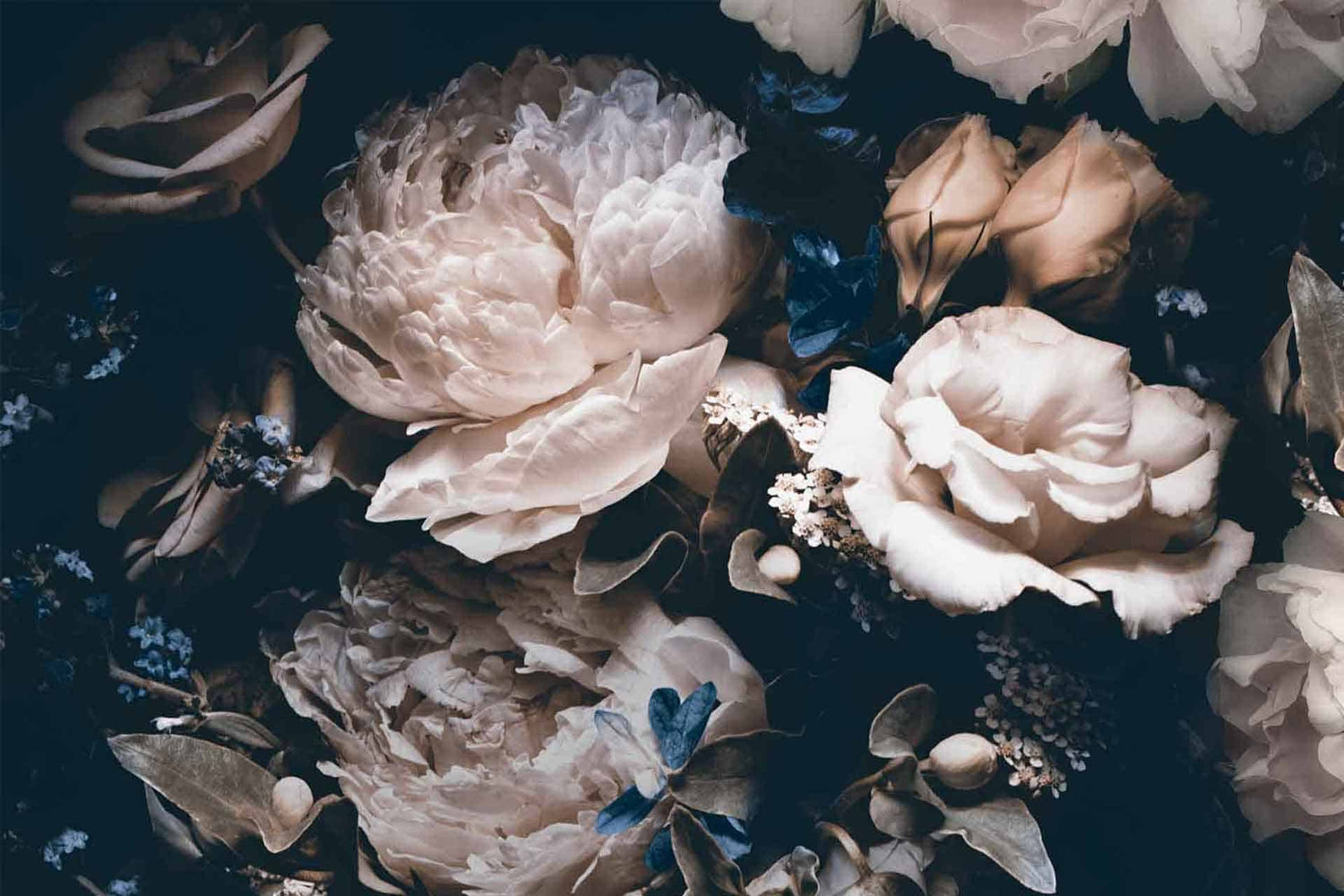 Flecks of Blue