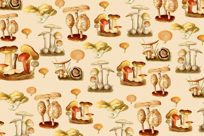 Fungi