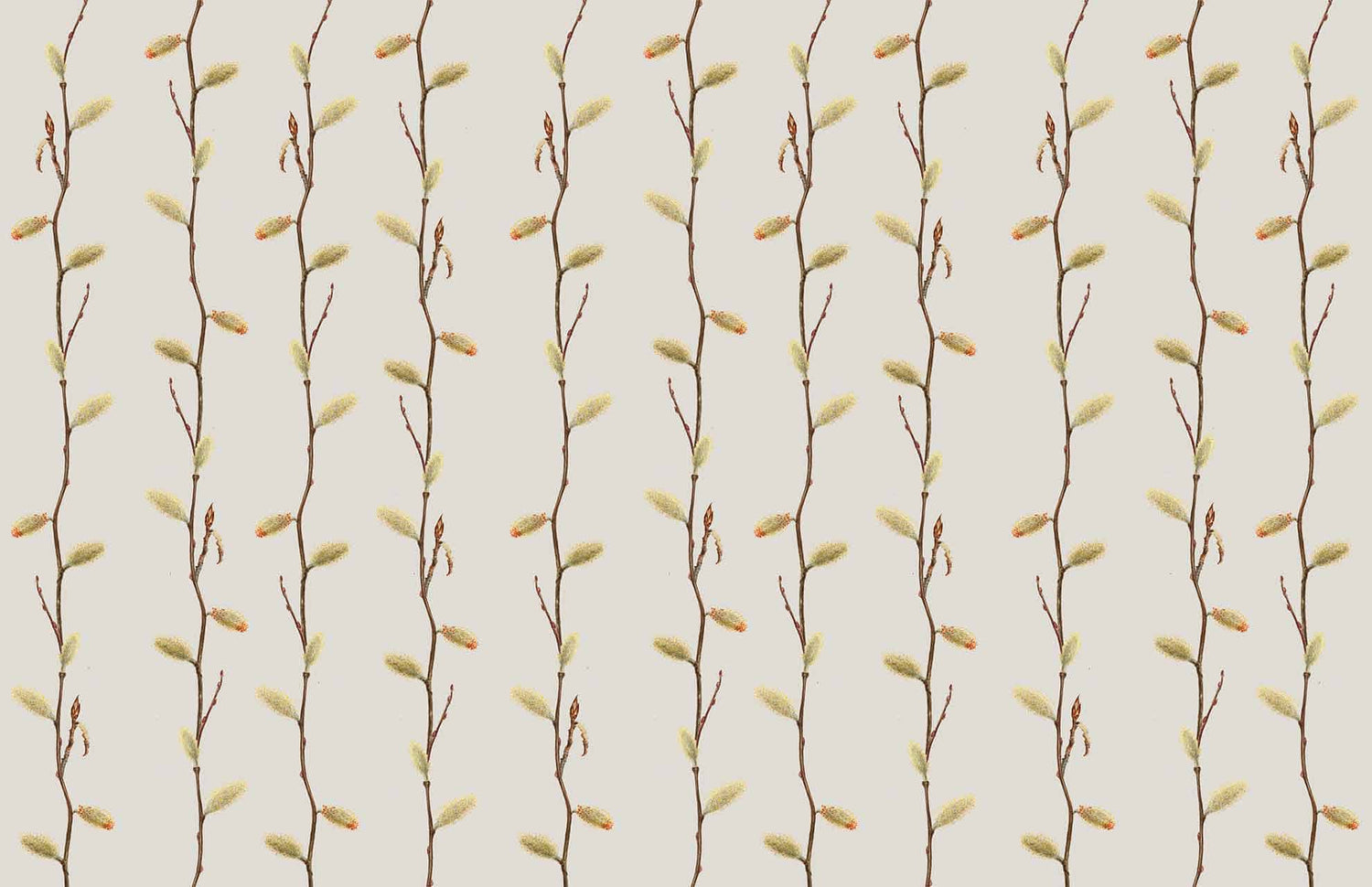 Golden Vine