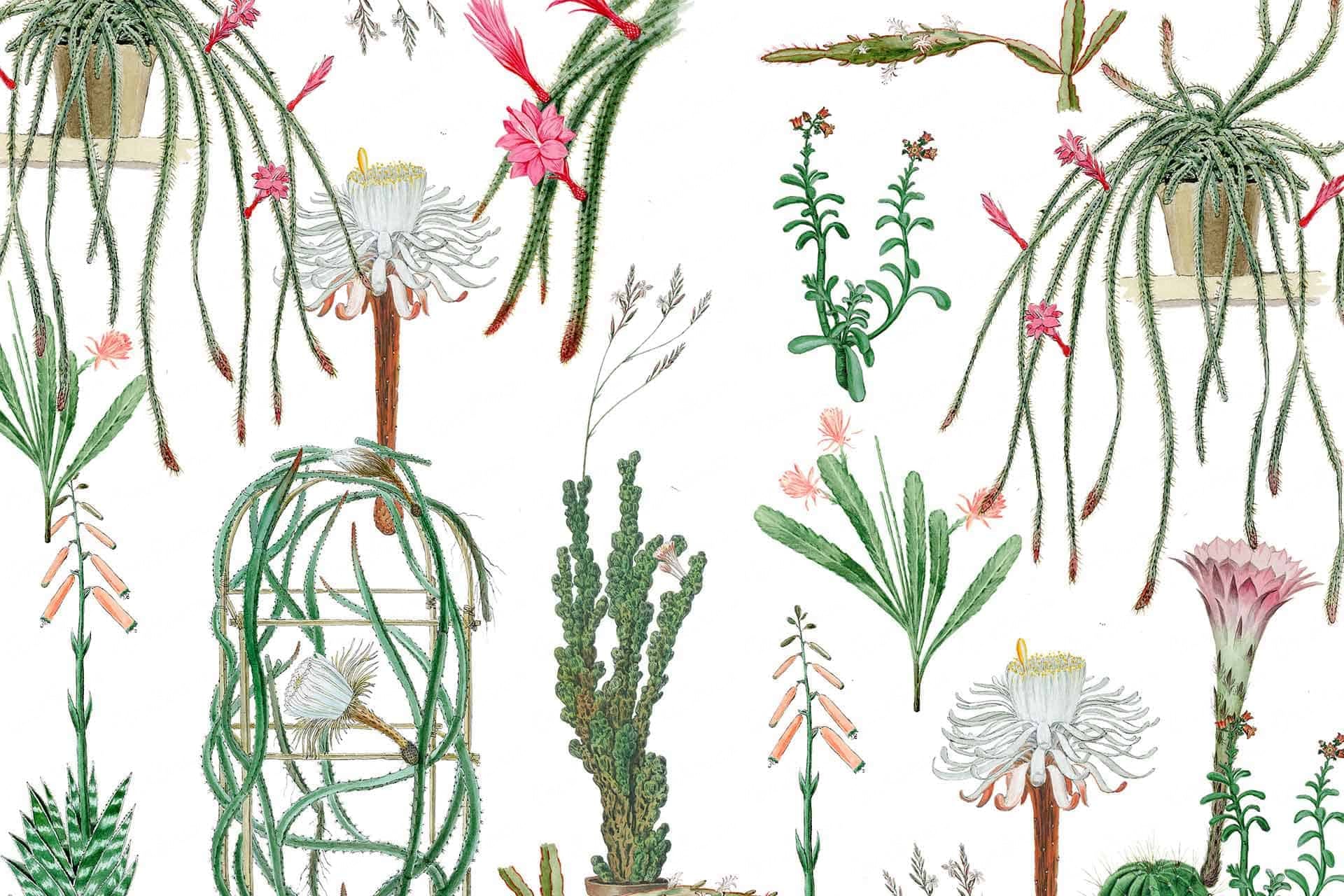 Green Fingers