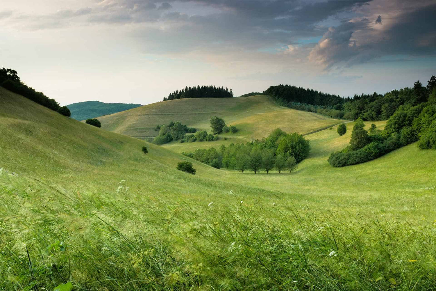 Hills are Alive