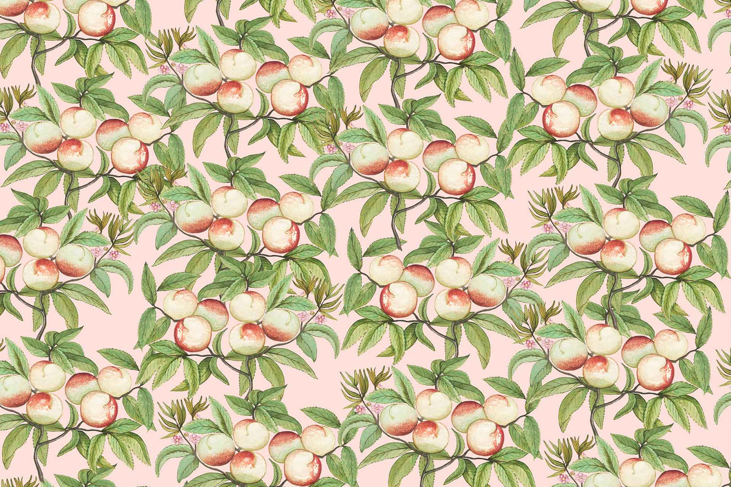 Just Peachy