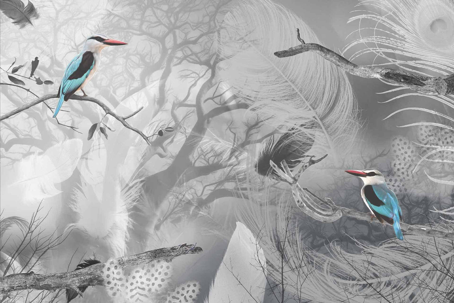 King Of The Birds