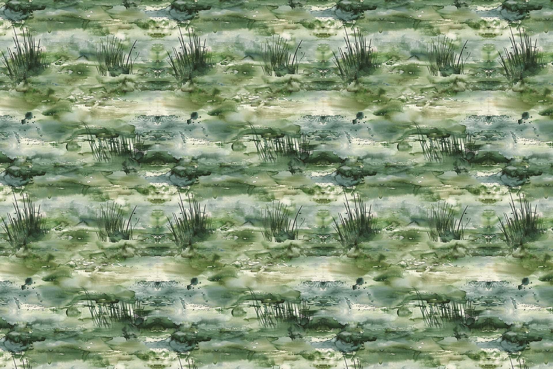 Marsh