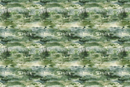 Marsh
