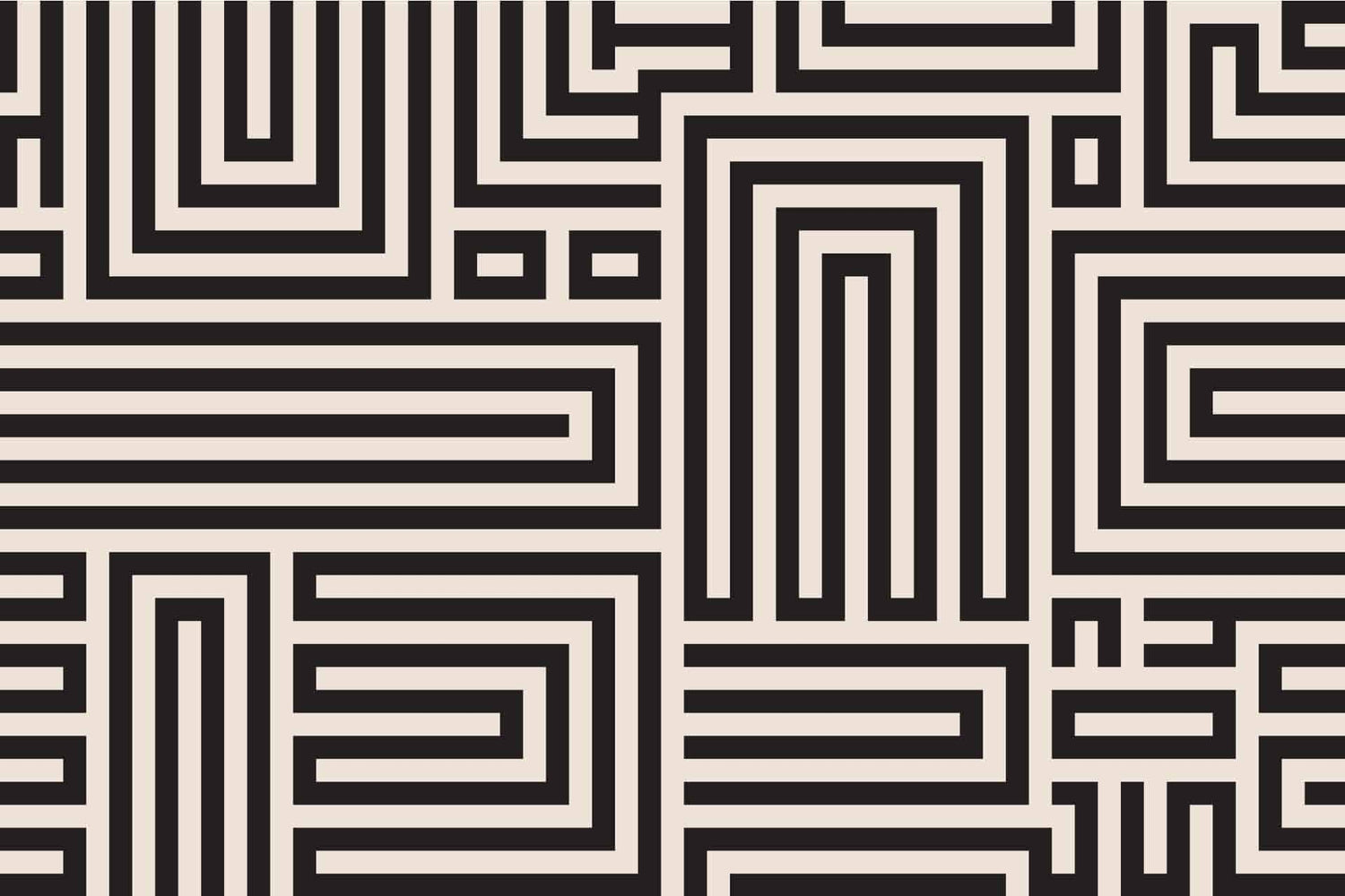 Maze Runner