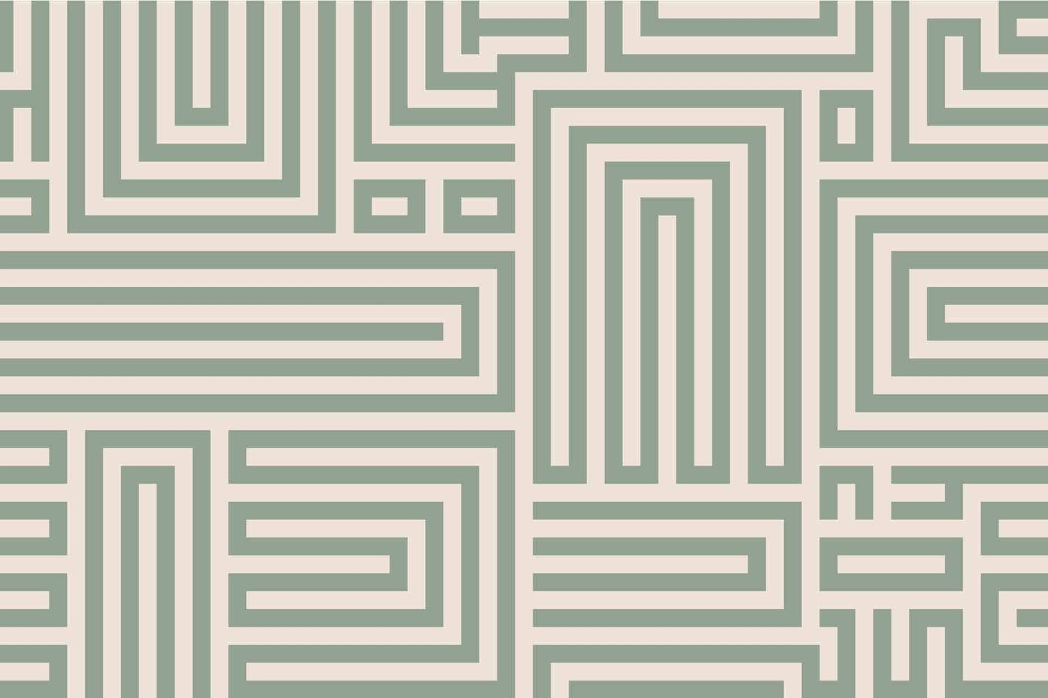 Maze Runner