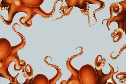 My Octopus Teacher