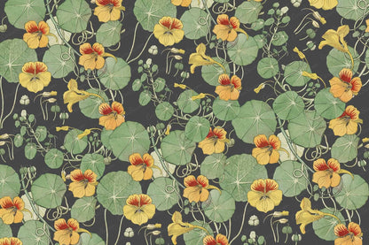 Nasturtium